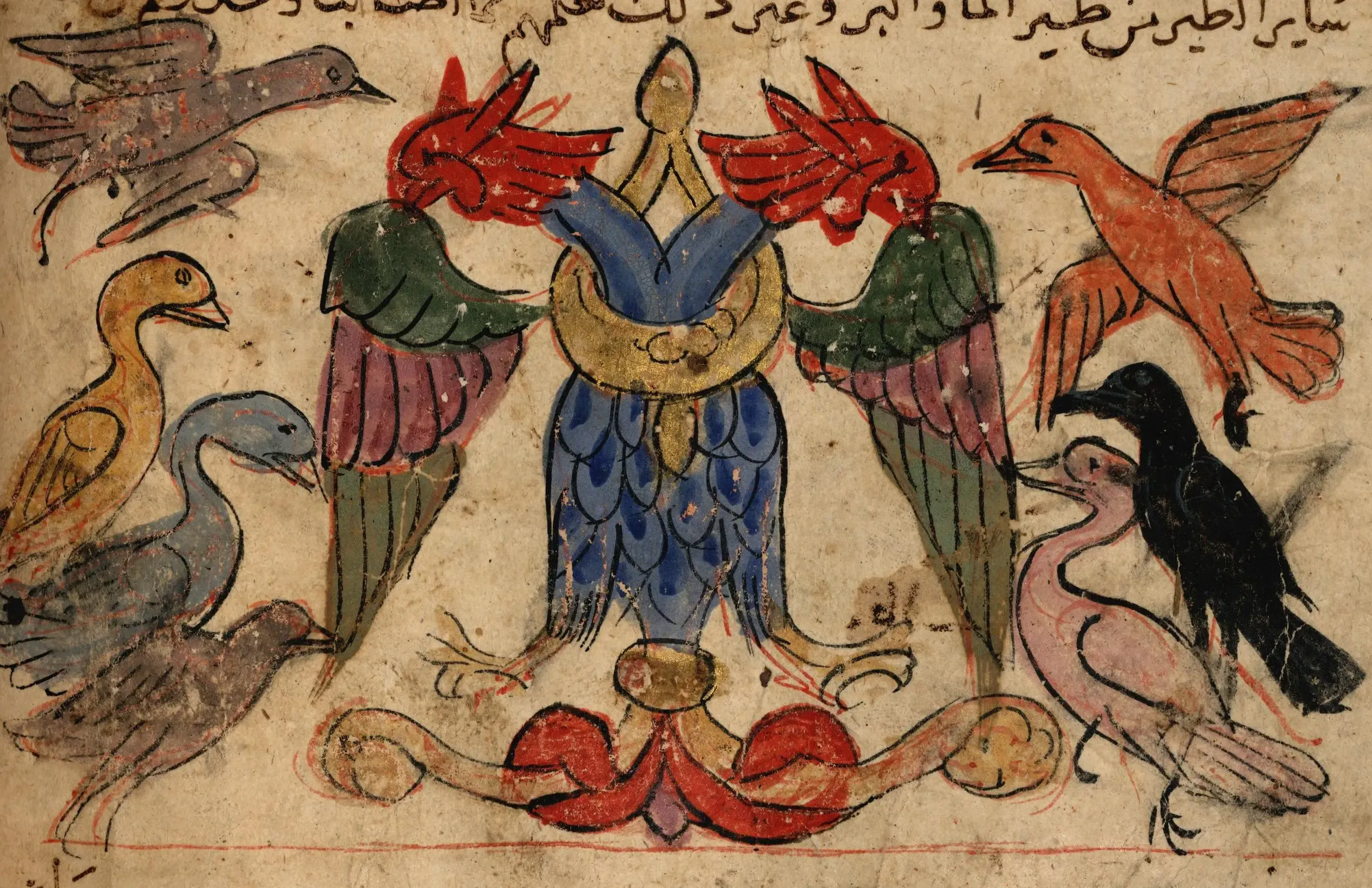 Illustration