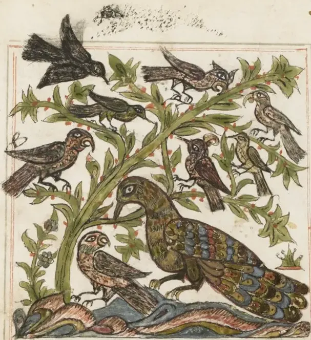 Illustration