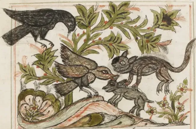 Illustration
