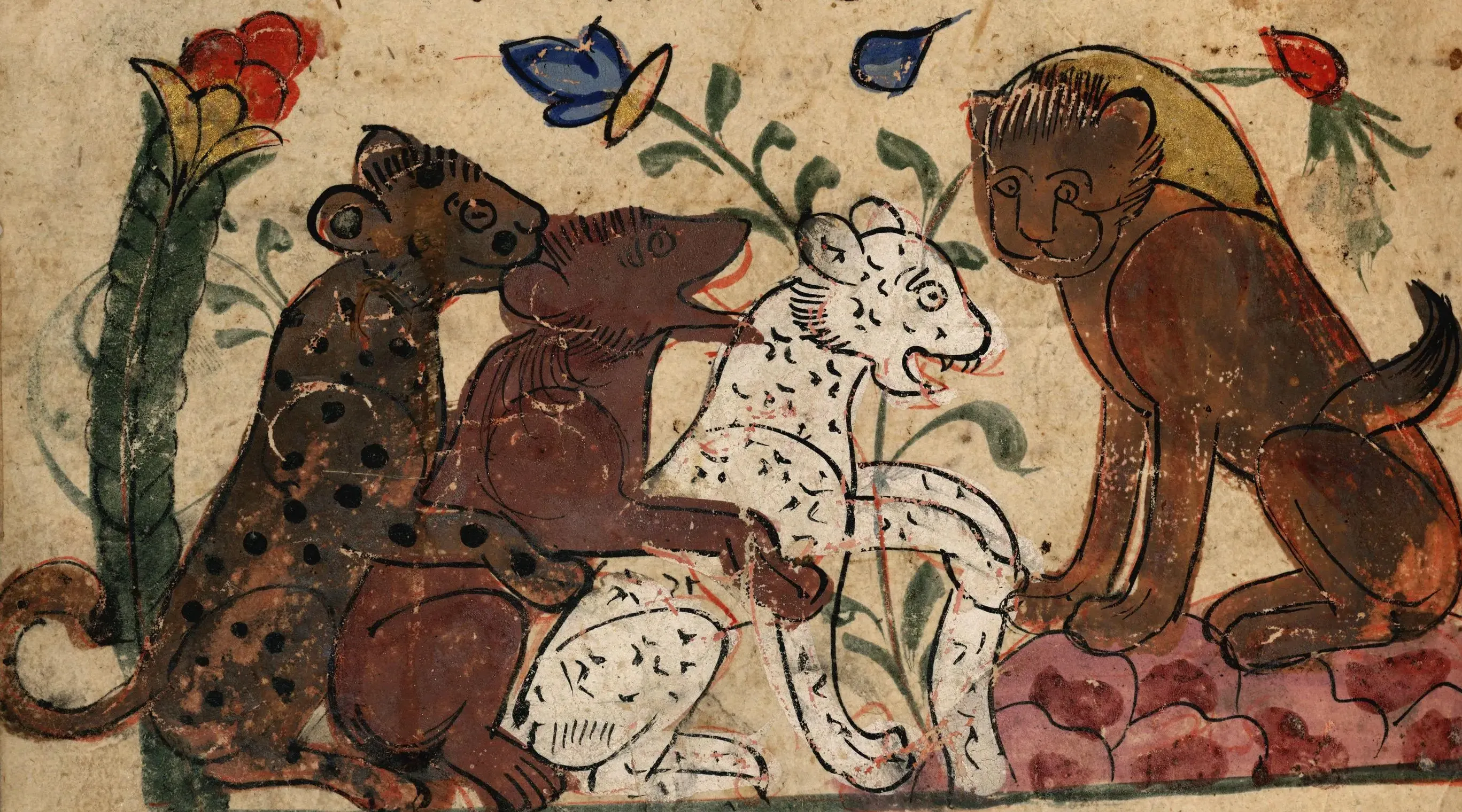 Illustration