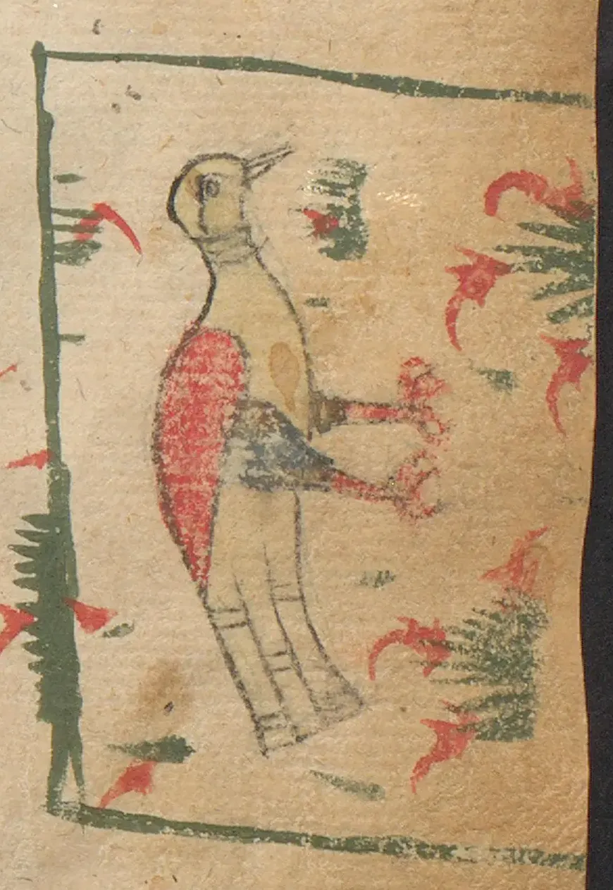 Illustration
