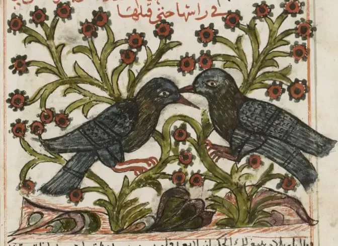 Illustration