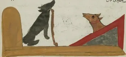 Illustration