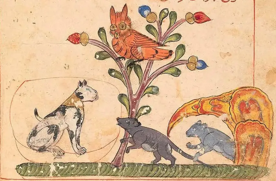 Illustration