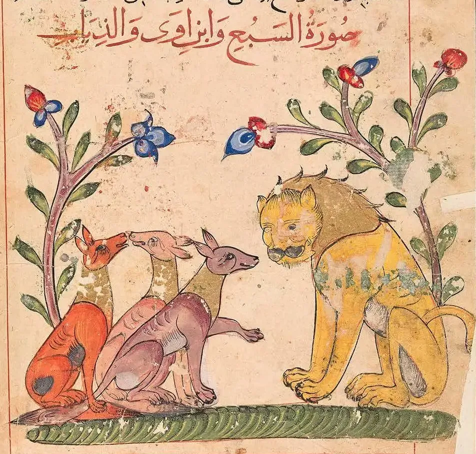 Illustration