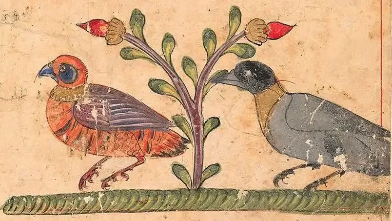 Illustration