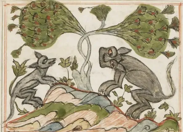 Illustration