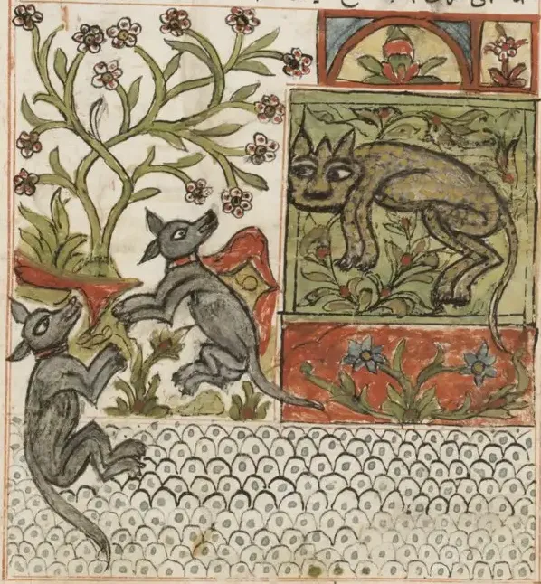 Illustration