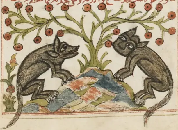 Illustration