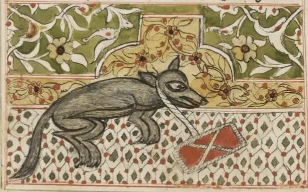 Illustration