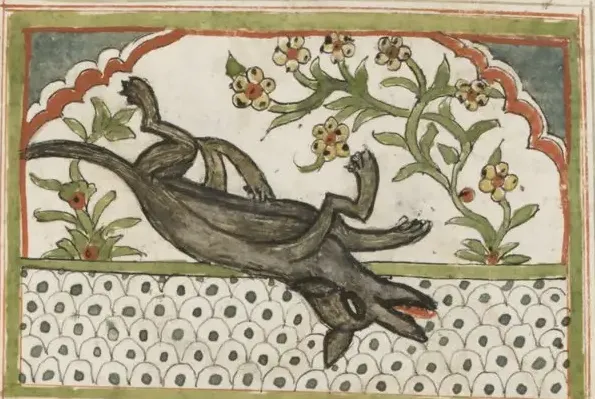 Illustration