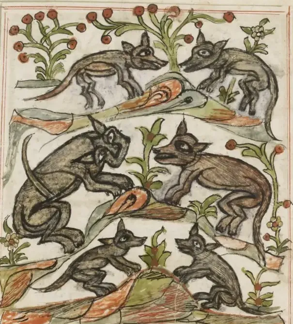Illustration
