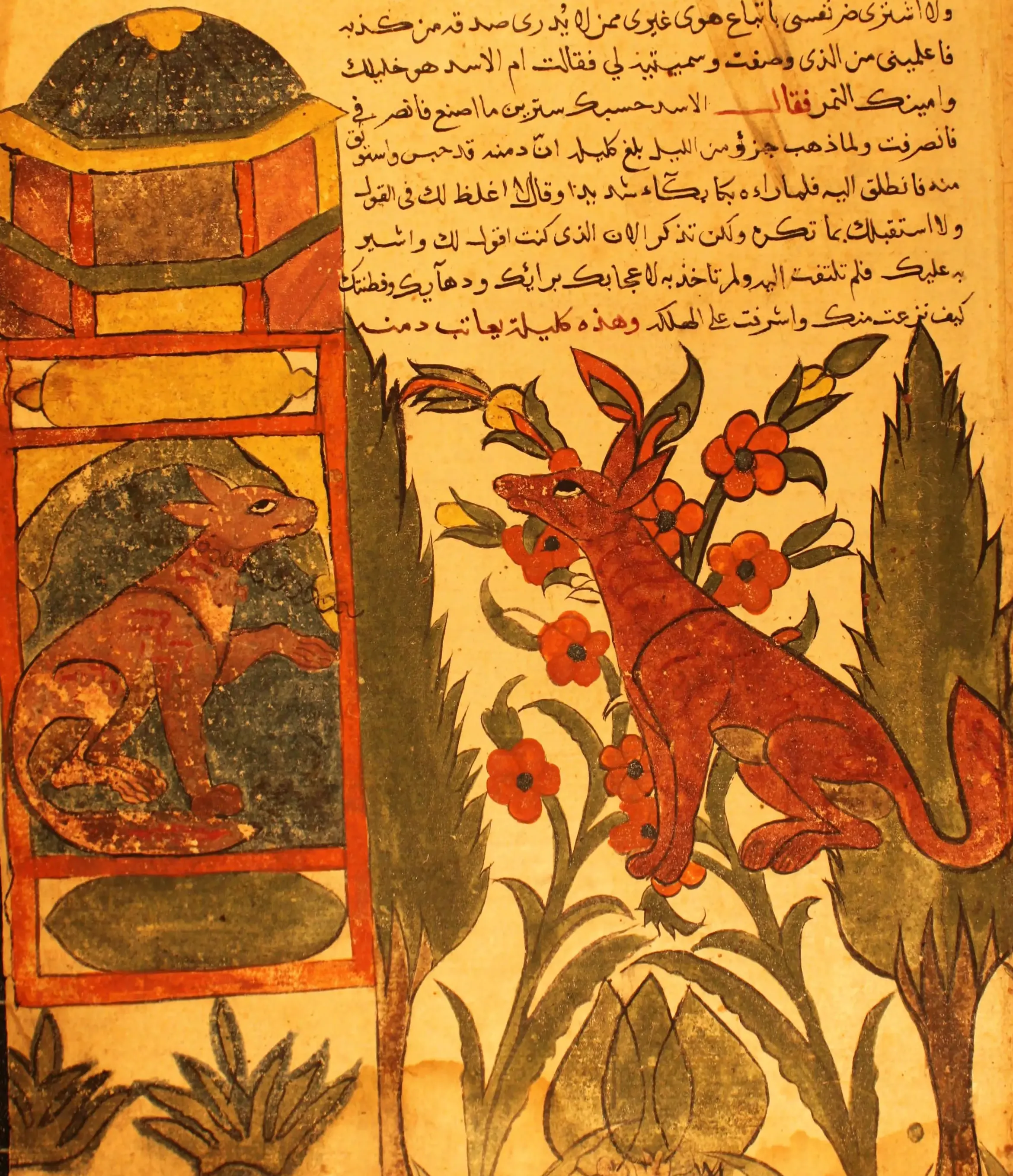 Illustration