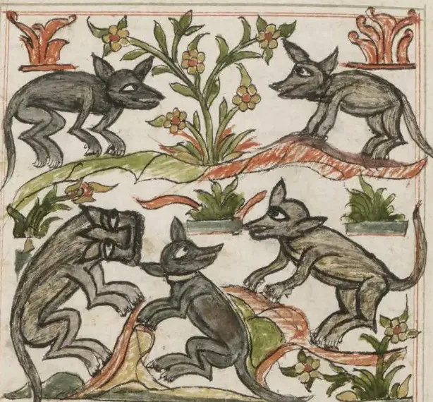 Illustration