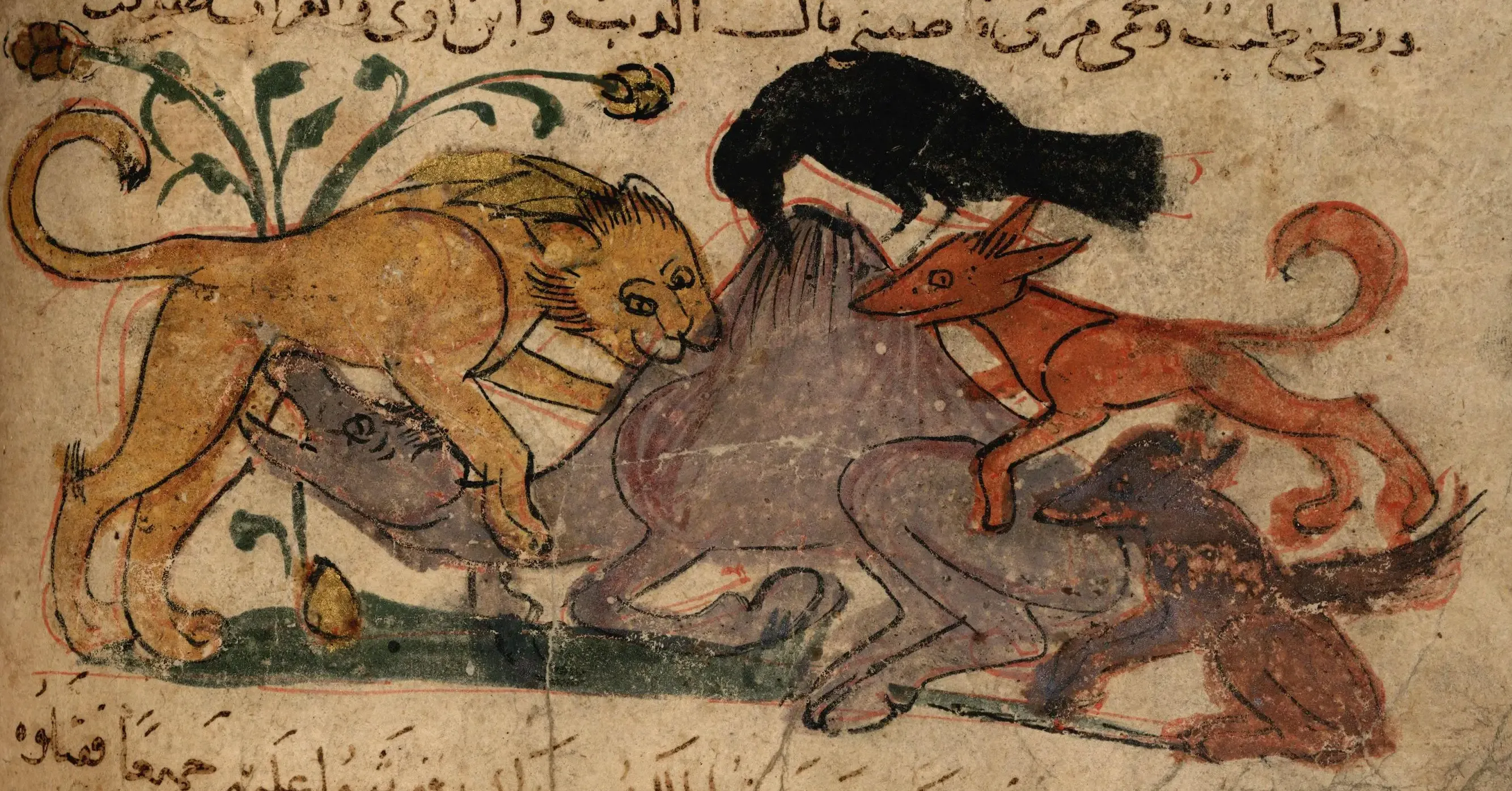 Illustration